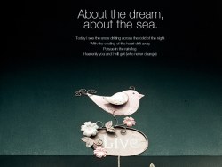 关于梦想，关于那片海（手机拍摄版）