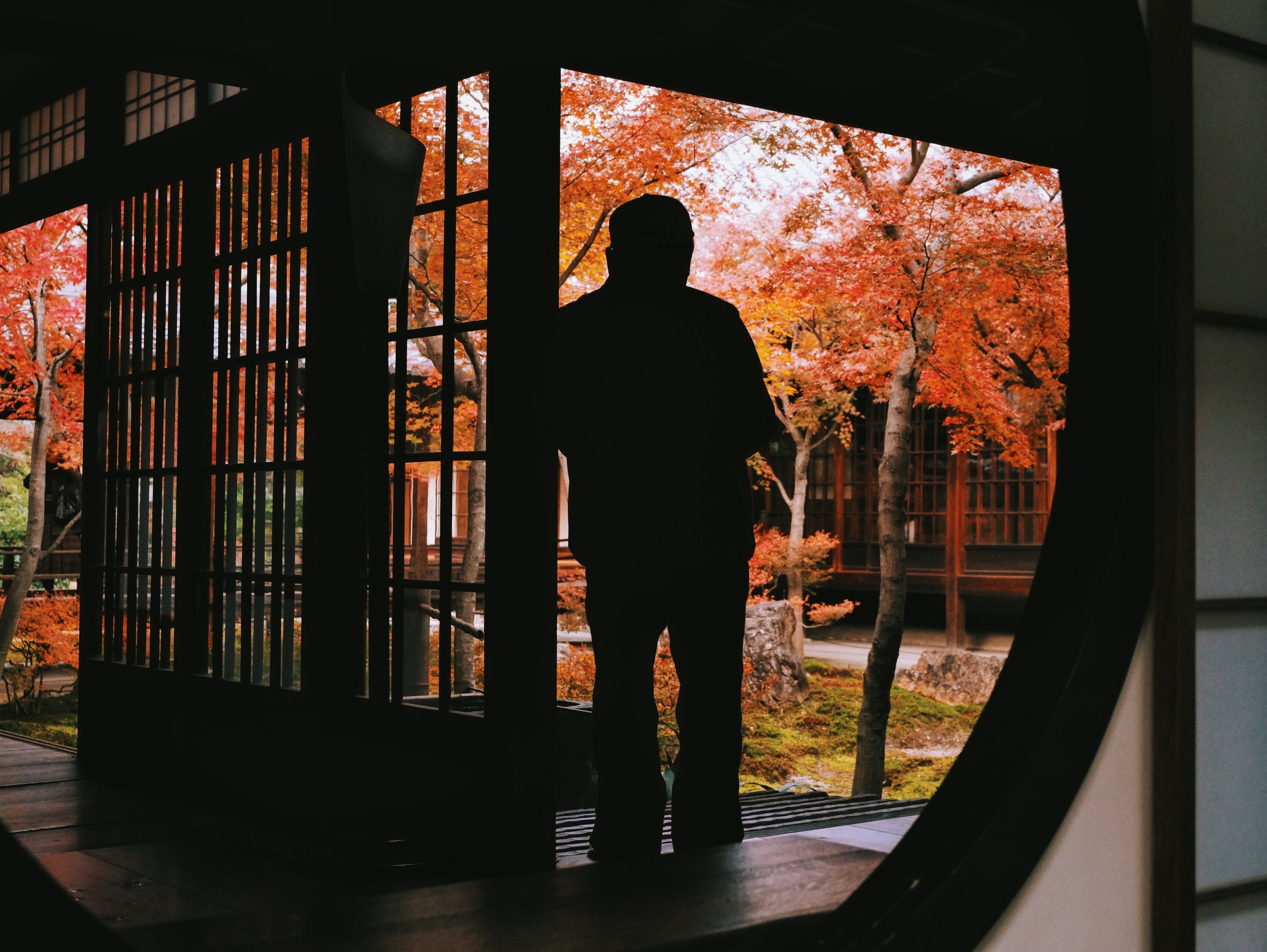 霓虹的浮光掠影