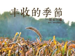 丰收的季节 秋天了我们出发吧 一起去河边  摄影作品 