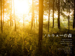 日出，日落，星空，夜。（上集）