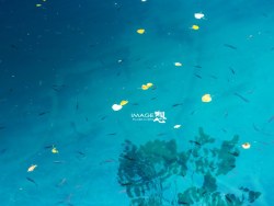 《九寨沟-黄龙》_想·享摄影