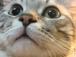 2013的完结 iphone photos 纯手机拍 调