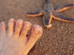 《Say&nbsp;GoodBye，北戴河~》&nbsp;