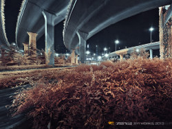 《夜色，赛虹桥》630篇