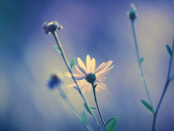 为自己的摄影（六）