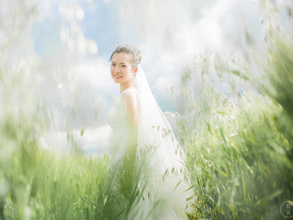 这些都是你给的爱