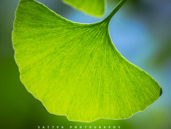 遇见-悄然定格你的美丽