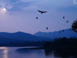 杭州茅家埠水域夕阳美景
