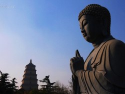 10年随拍-唐大慈恩寺遗址公园秋色